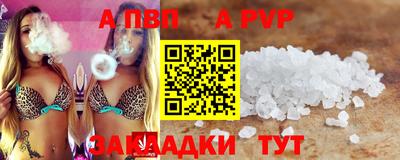 кокс Кингисепп