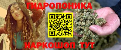 кокс Кингисепп