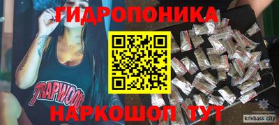 кокс Кингисепп