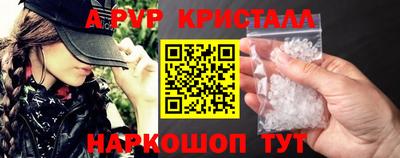 кокс Кингисепп