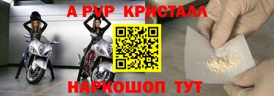 кокс Кингисепп