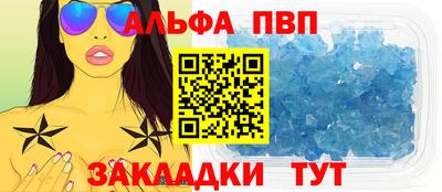 кокс Кингисепп