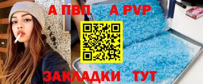 кокс Кингисепп