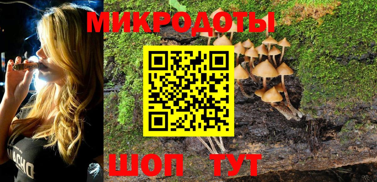 Псилоцибиновые грибы Magic Shrooms  купить  цена  Унеча  Вход с VPN 